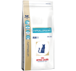 Hypoallergenic cat  Royal Canin